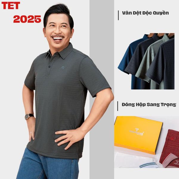 Áo thun nam trung niên Thái Khang chất liệu thun lạnh co giãn 4 chiều ATHUN10