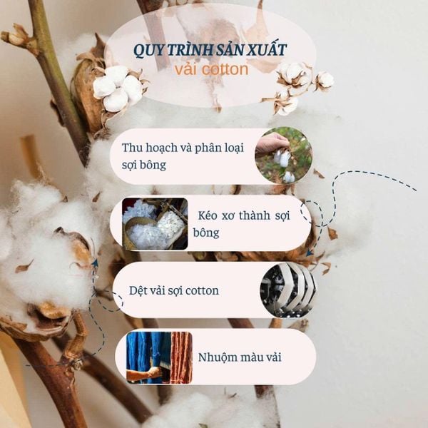 Quần short kaki nam Thái Khang QUAN01