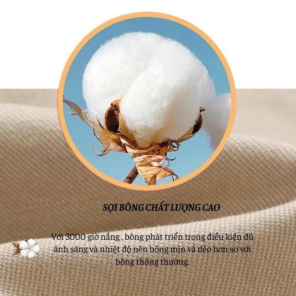 Quần short kaki nam THÁI KHANG vải kaki dày mềm mặc mát QUAN08