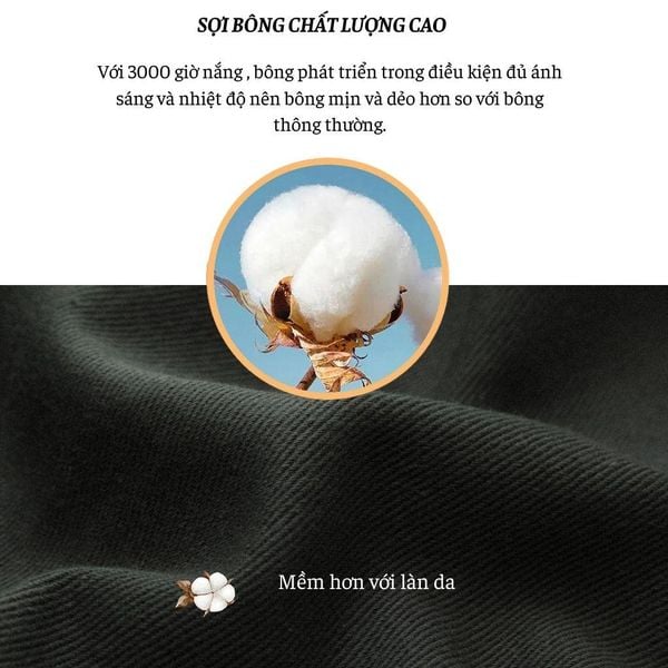 Quần short kaki túi hộp trung niên Thái Khang lưng chun thoải mái vải cotton QUAN10