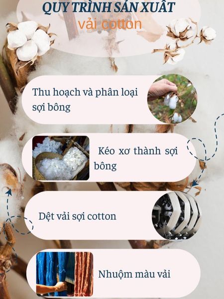 Quần short kaki nam THÁI KHANG QUAN07