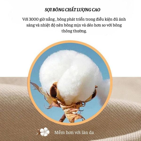 Quần short kaki nam Thái Khang QUAN01