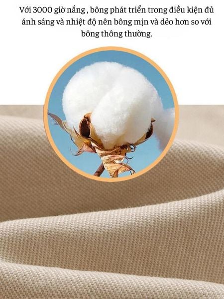 Quần short kaki nam THÁI KHANG QUAN07