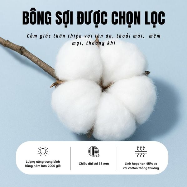 Áo polo nam trung niên Thái Khang cổ bẻ vải cotton ATK38