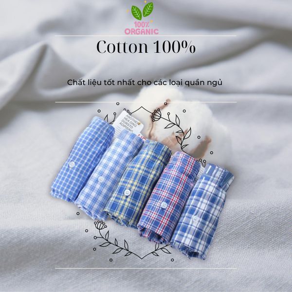 Quần đùi mặc nhà cotton nam Thái Khang