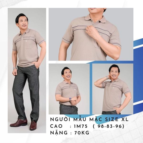 Áo polo nam trung niên có cổ vải cotton ATK08