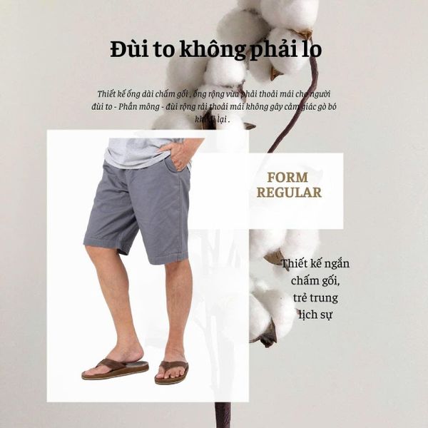 Quần short kaki nam Thái Khang QUAN01