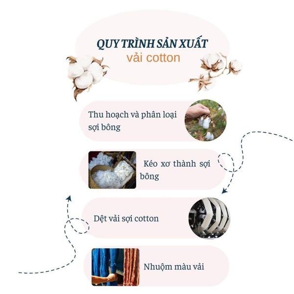 Quần short kaki túi hộp trung niên Thái Khang lưng chun thoải mái vải cotton QUAN10