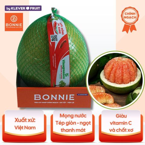 Bưởi Hồng Da Xanh Việt Nam