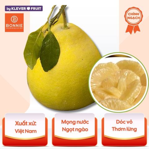 Bưởi Vàng Bắc Giang