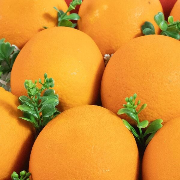 Cam Kiếng Nội Địa Trung