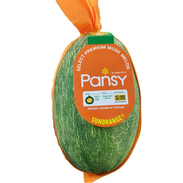 Dưa Lưới Pansy Việt Nam Ruột Cam Vỏ Xanh