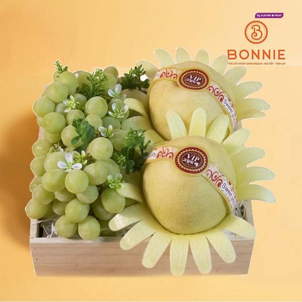 Hộp Quà Trái Cây Tone Vàng Kem Thanh Lịch