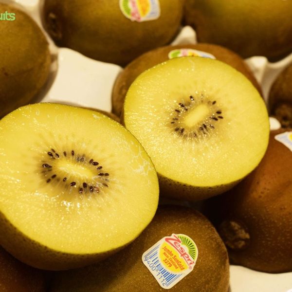 Kiwi Vàng New Zealand