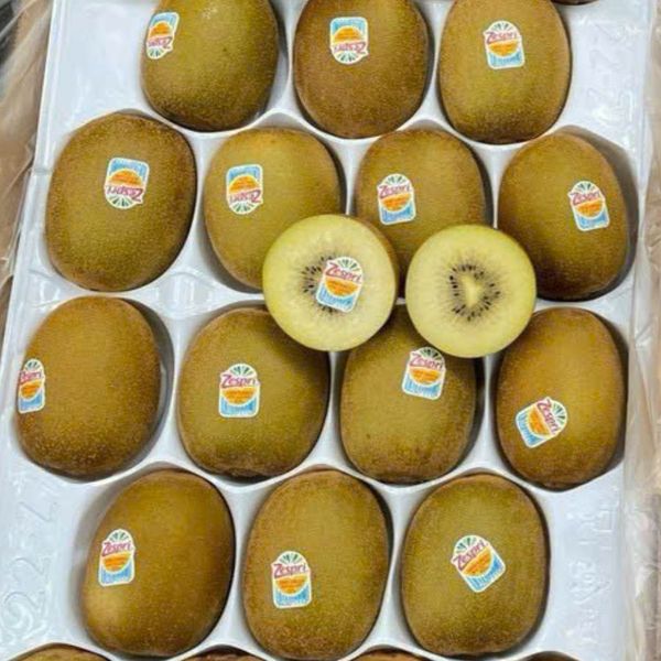 Kiwi Vàng New Zealand