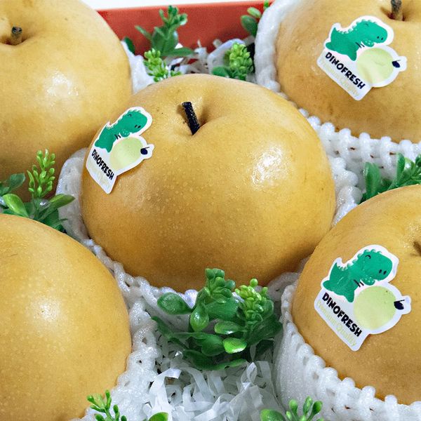 Lê Singo Nội Địa Trung Quốc