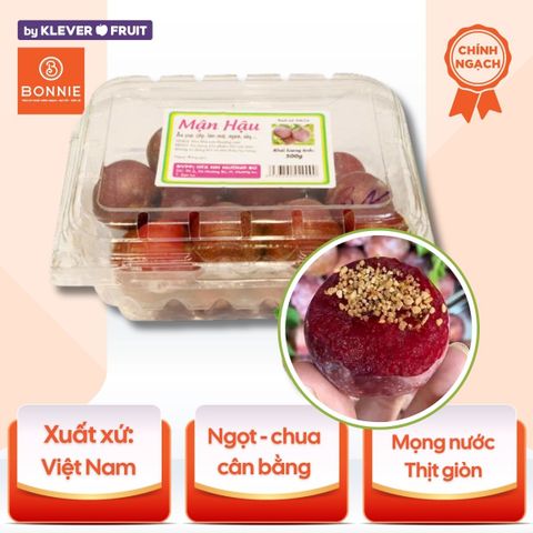 Mận Hậu Mộc Châu - Hộp 500gram