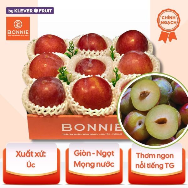 Mận Úc October Sun