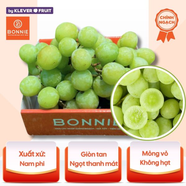 Nho Xanh Không Hạt Nam Phi