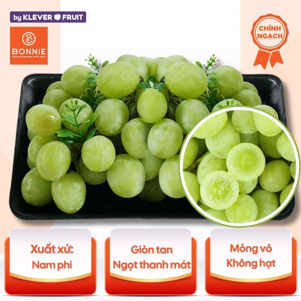 Nho Xanh Không Hạt Nam Phi