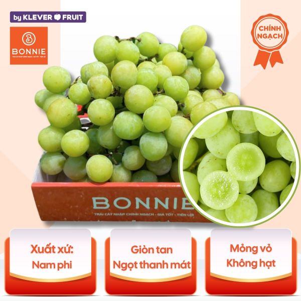 Nho Xanh Không Hạt Nam Phi