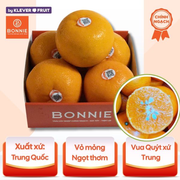 Quýt Orah - Nội địa Trung