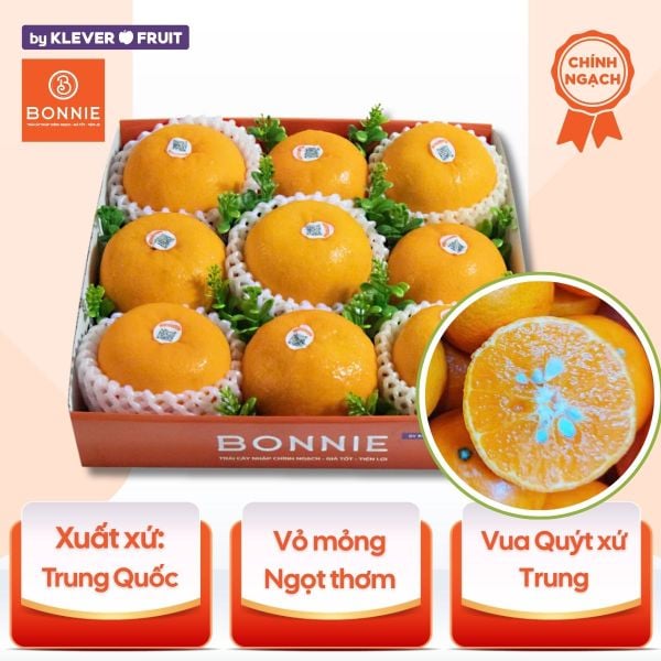 Quýt Orah - Nội địa Trung