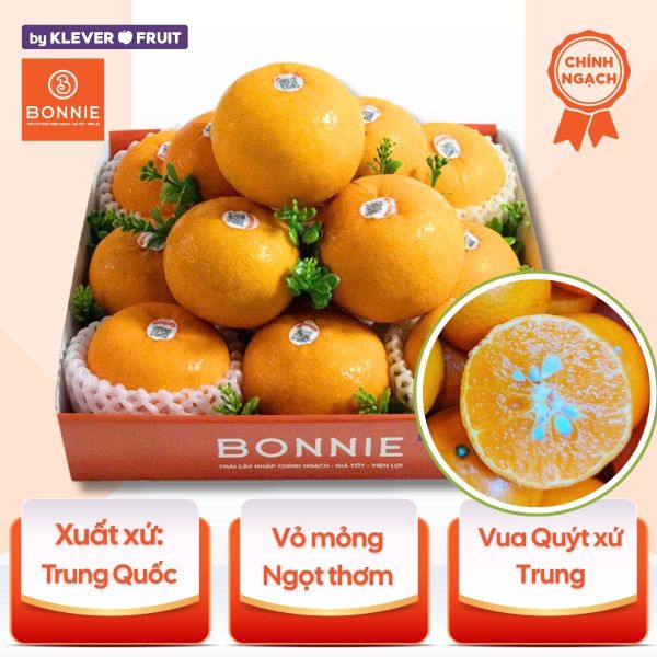 Quýt Orah - Nội địa Trung