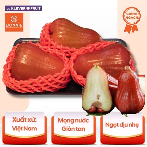 Roi đỏ An Phước