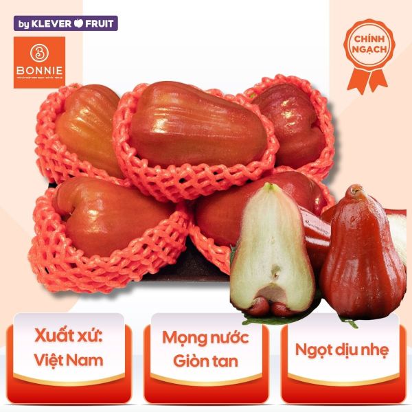 Roi đỏ An Phước