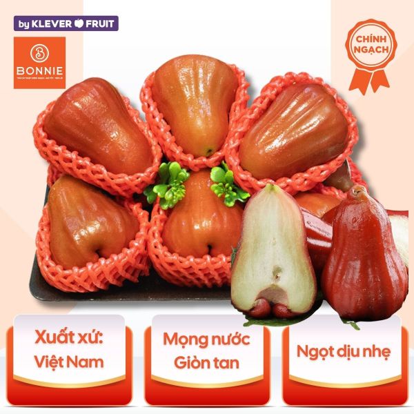 Roi đỏ An Phước