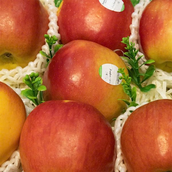 Táo Ambrosia Canada - size nhỏ