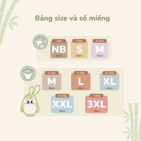 Bảng size