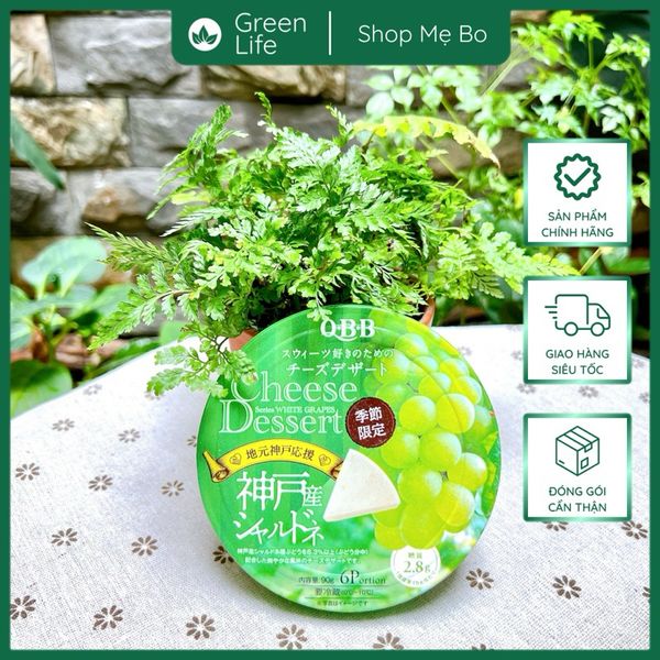 Phô mai QBB Cheese Dessert