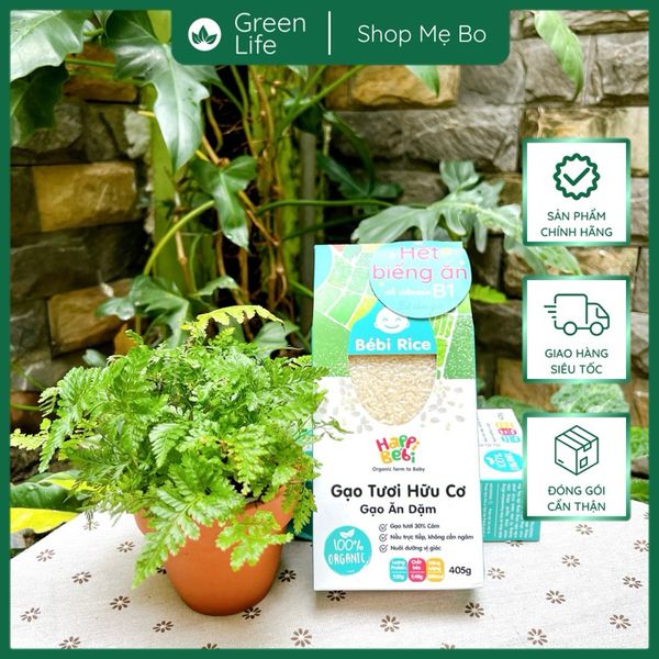 Gạo ăn dặm - Gạo vỡ cám mầm - Gạo vỡ trộn hạt Bébi Rice