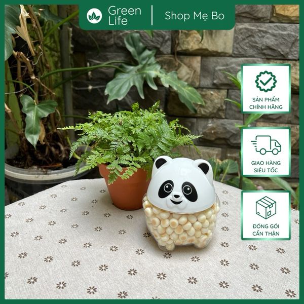 Bánh men gấu Cosco - Đài Loan