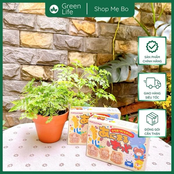 BÁNH QUY HÌNH THÚ MATSUNAGA 35G