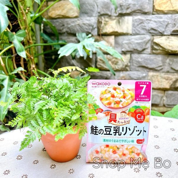 Cháo ăn liền Wakodo ăn dặm cho bé 7m+ 9m+ đủ vị 80g
