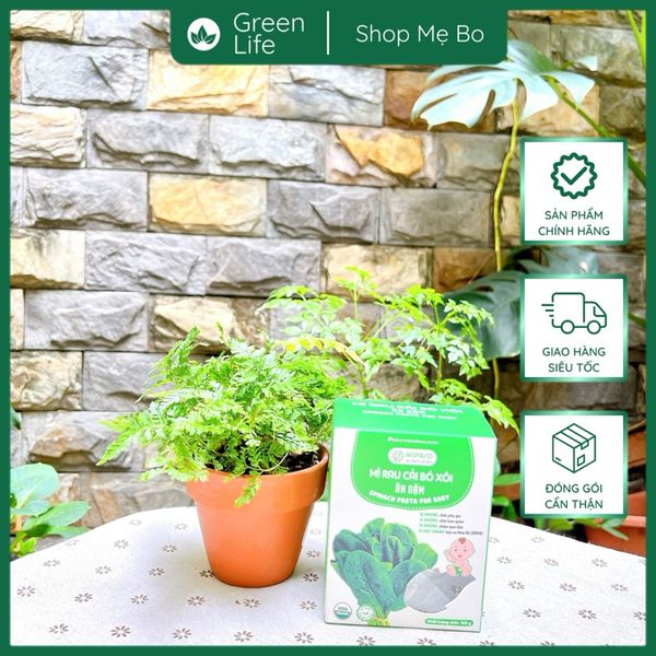 Mì rau củ Ăn dặm Anpaso 120g