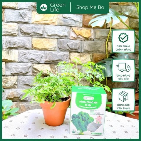 Mì rau củ Ăn dặm Anpaso 120g