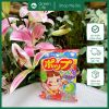Kẹo mút chống sâu răng Pop Candy Nhật Bản