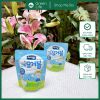 Sữa chua khô Ildong cho trẻ từ 8 tháng