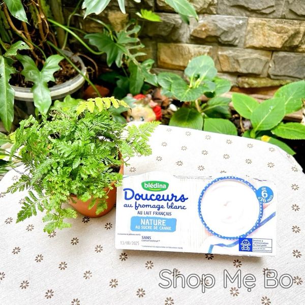 Sữa chua phô mai Bledina Douceurs Pháp – 1 lốc 4 hộp x 100G