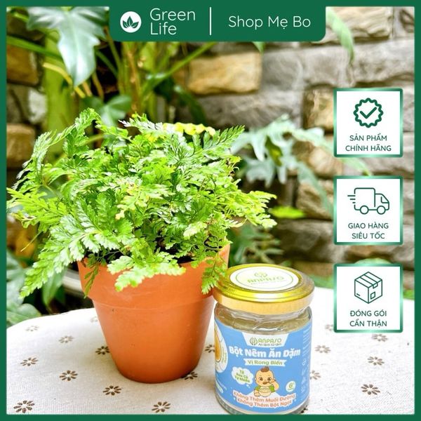 Hạt Nêm Cho Bé Ăn Dặm Anpaso 6+