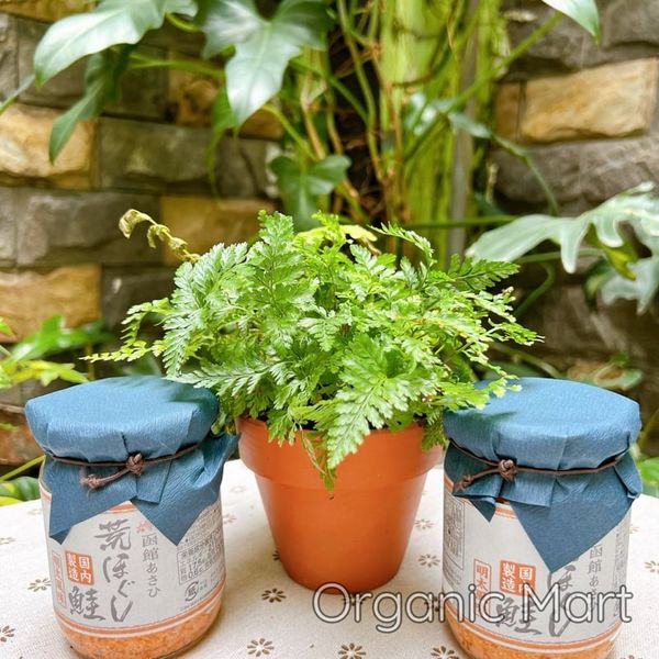 Ruốc Cá Hồi và Trứng cá tuyết