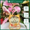 Bánh phô mai que sấy lạnh Mama’s Choice cho bé từ 12m