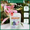 SỮA CHUA SẤY KHÔ BEBEDANG HÀN QUỐC CHO BÉ TỪ 6M+ (16G)