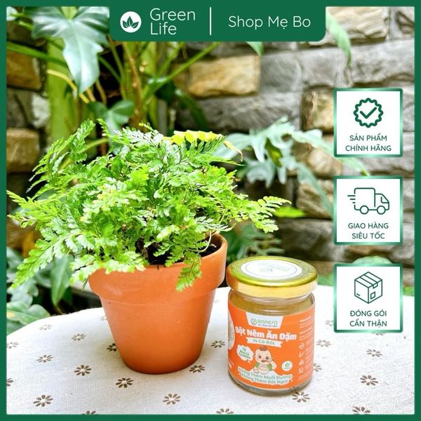 Hạt Nêm Cho Bé Ăn Dặm Anpaso 6+