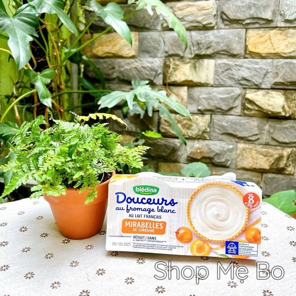 Sữa chua phô mai Bledina Douceurs Pháp – 1 lốc 4 hộp x 100G