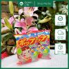 Kẹo mút chống sâu răng Pop Candy Nhật Bản